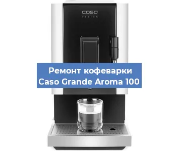 Чистка кофемашины Caso Grande Aroma 100 от накипи в Ижевске